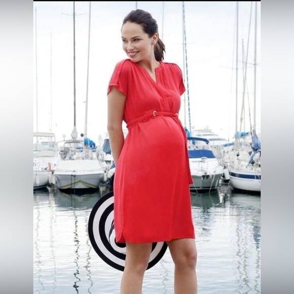 Seraphine Maternity Dress - Picture 1 of 7